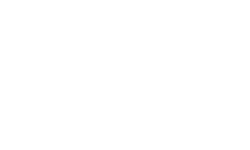 Holon